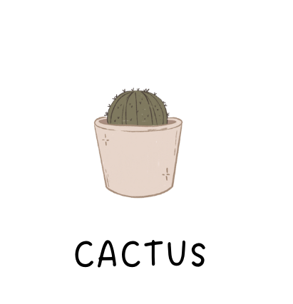 Cactus Charm
