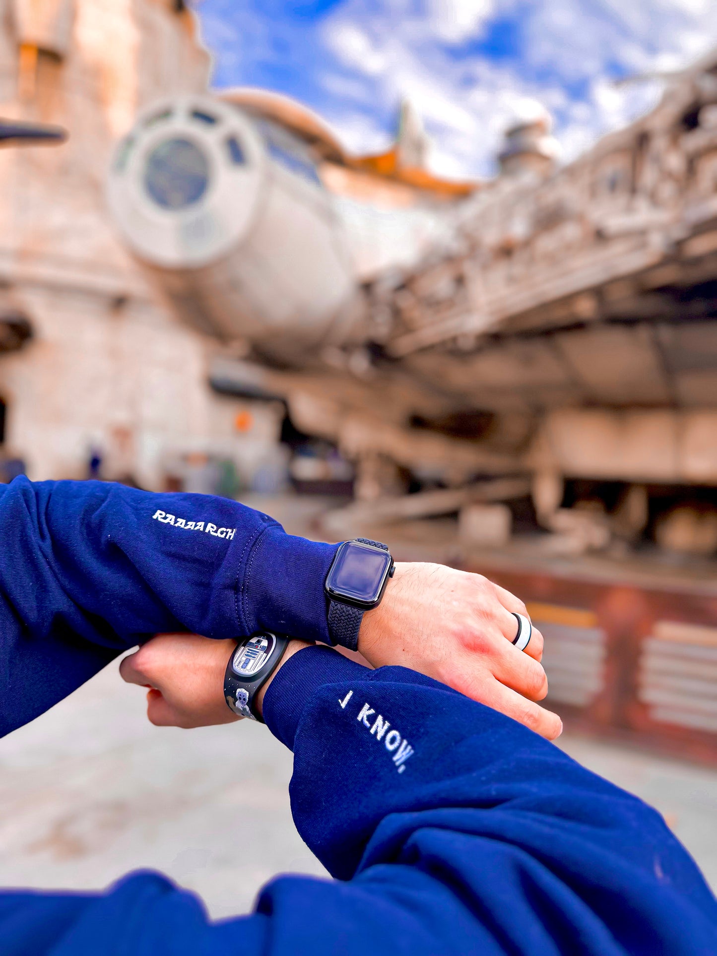 Chewy, We're Home Embroidered Crewneck