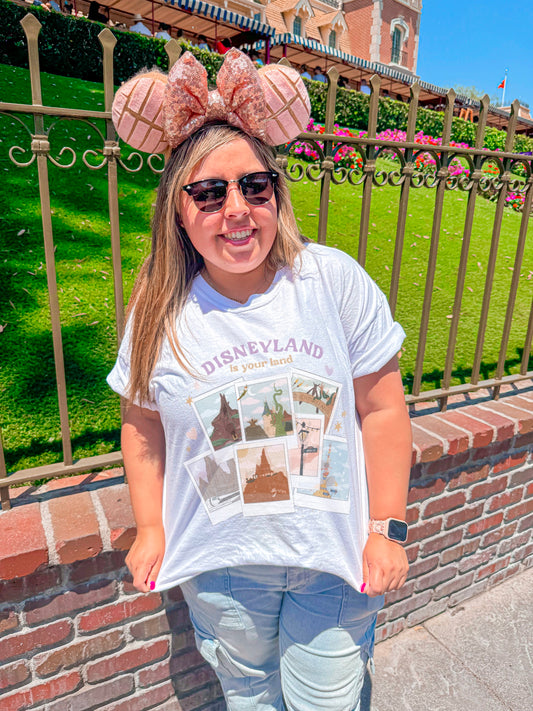 Disneyland is Your Land Shirt