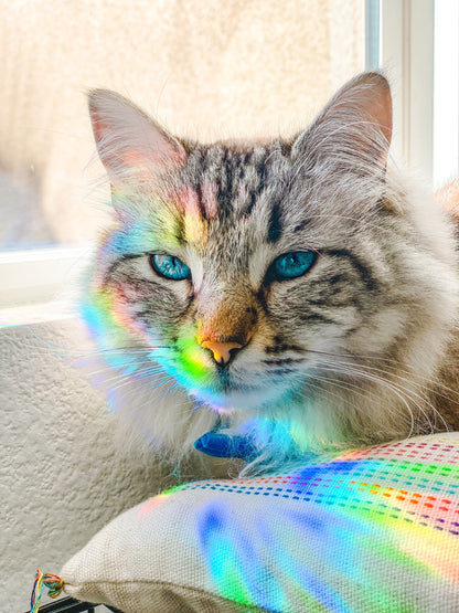 Starfall Suncatcher Sticker