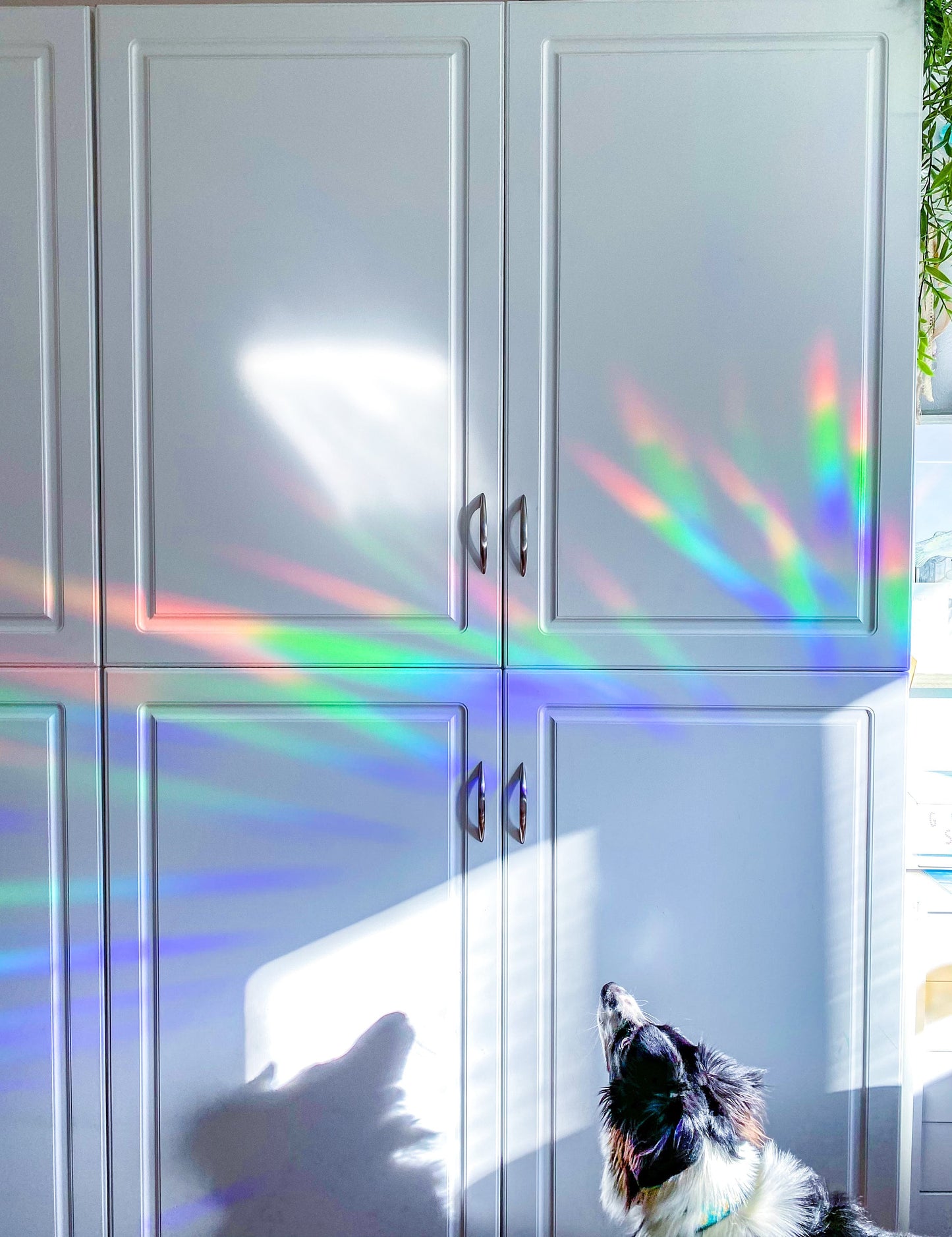 Starfall Suncatcher Sticker